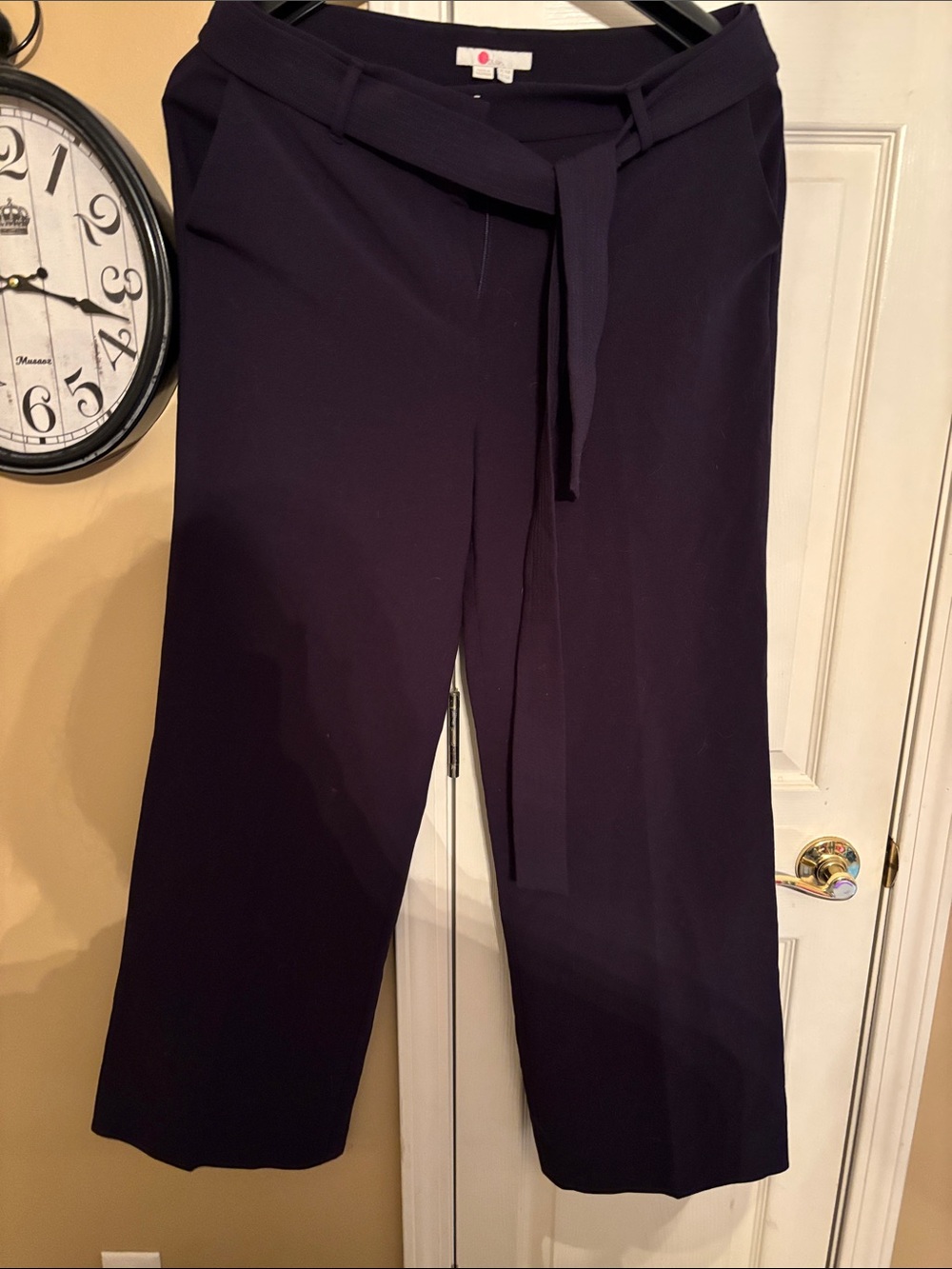 Women's Biden Wide Leg Belted Trouser Pants- Navy